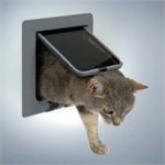 Gør kattens liv bedre (foto petworld.dk) Gør kattens liv bedre (foto petworld.dk)