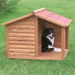 Typen afhænger af hunden (Foto Petworld.dk) Typen afhænger af hunden (Foto Petworld.dk)