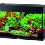 Tænk uden for akvariets boks (foto petworld.dk)