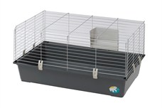 En dyrehandel har alt du behøver - inkl. dyr (foto petworld.dk)