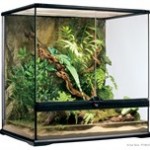 Til planter, med eller uden krybdyr (foto petworld.dk)