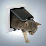 Giv katten frihed med en kattelem (foto lavprisdyrehandel.dk)