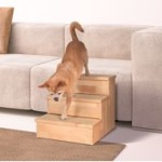 Din hund bliver glad for at have sin egen trappe (foto: lavprisdyrehandel.dk)