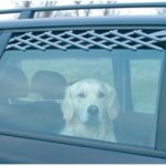 Det betyder meget at have et hundegitter (foto: lavprisdyrehandel.dk)